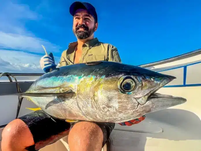 Angler holding a yellowfin tuna on a sport fishing boat in Vanuatu, with the fish shown in close-up against a clear blue sky.