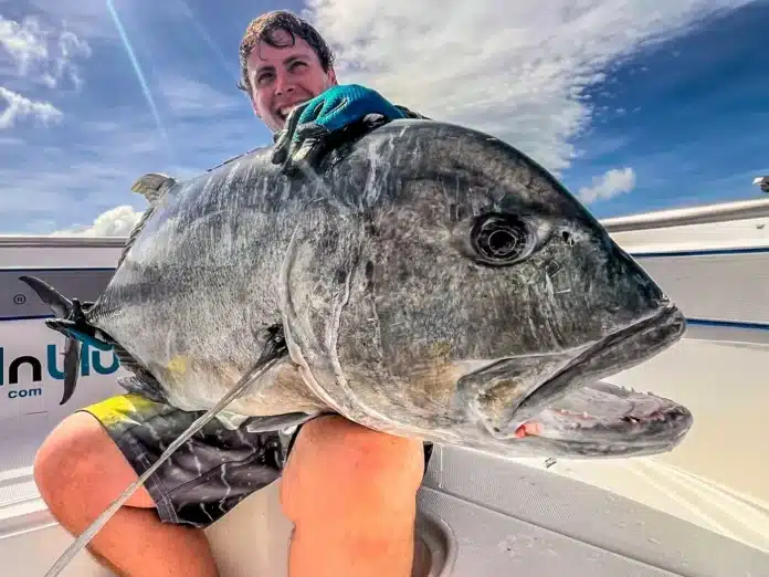 Angler holding a large giant trevally (GT) on a boat in Vanuatu, with the fish’s head and shoulder in close-up.