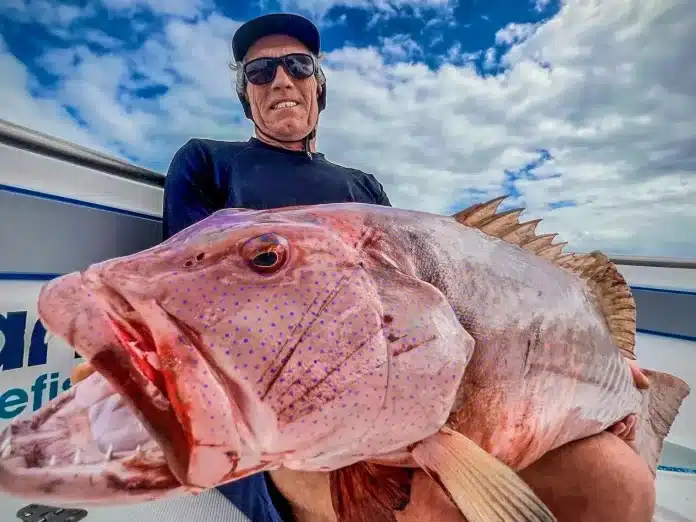 Angler holding a large coral trout on a boat in Vanuatu, with the fish shown in close-up against a cloudy sky.