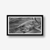 MAKO CANVAS PRINT, MEASURES 1200MM X 600MM PLUS OUTSIDE WHITE BOARDER