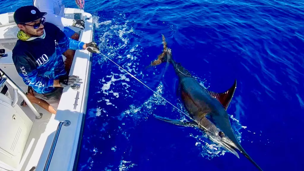 hosted ocean fishing 2020