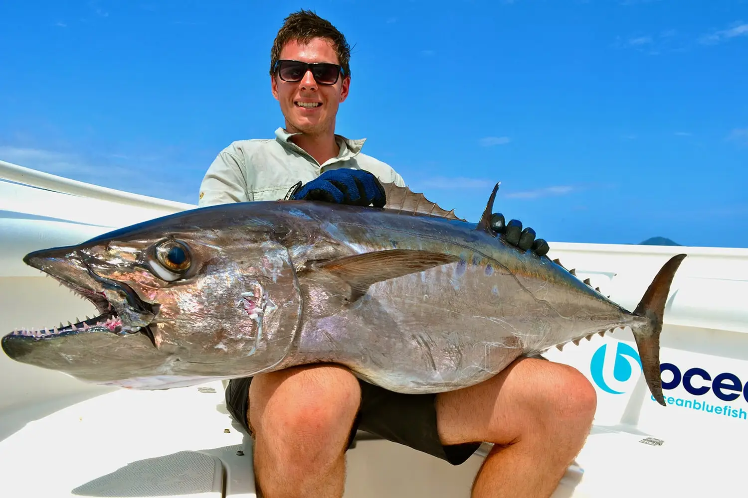 Vanuatu Dogtooth Tuna are Caught All Year Round