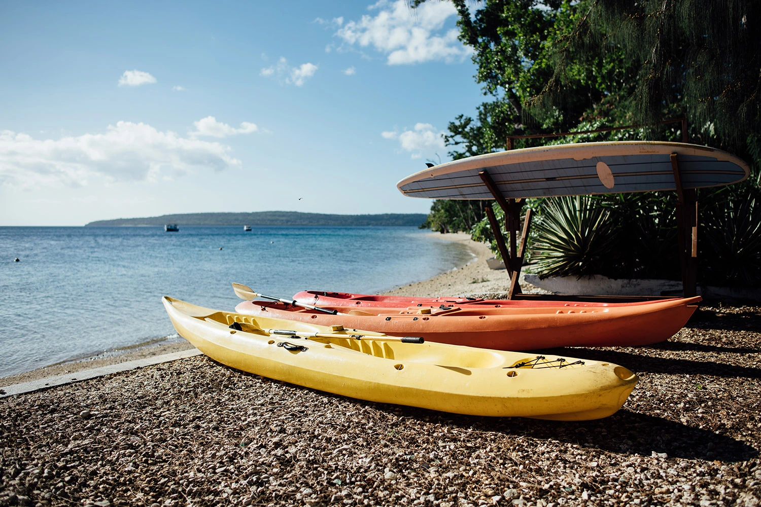 Vanuatu Resorts Leisure Time at Trees and Fishes Private Retreat