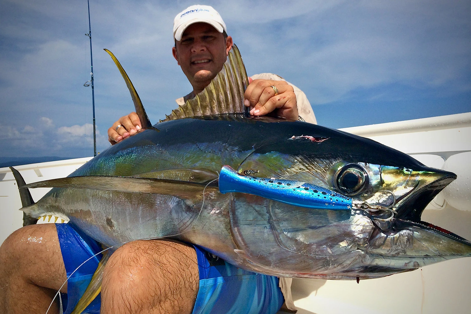 Vanuatu Yellowfin Tuna