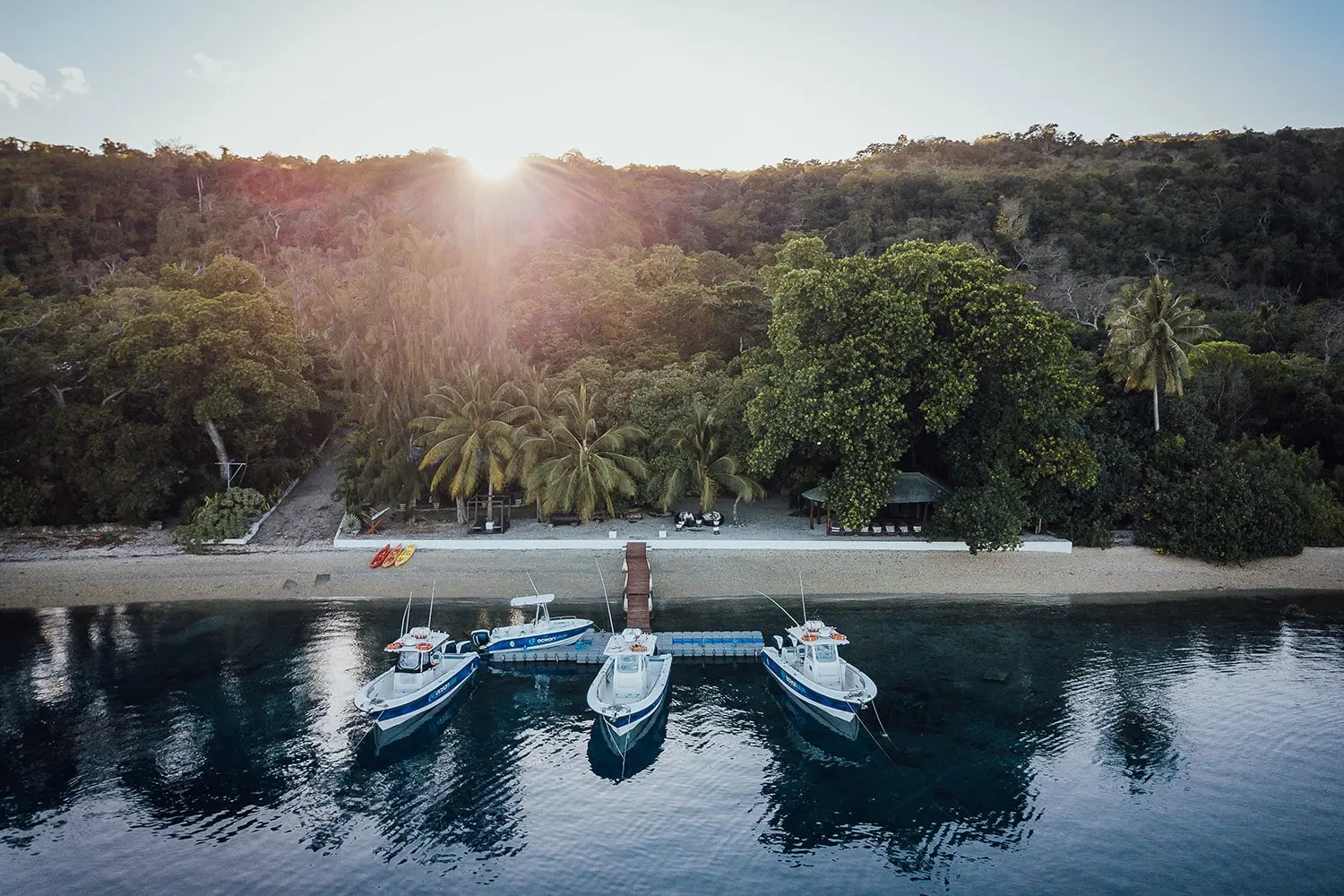 Arrive at Trees and Fishes Vanuatu