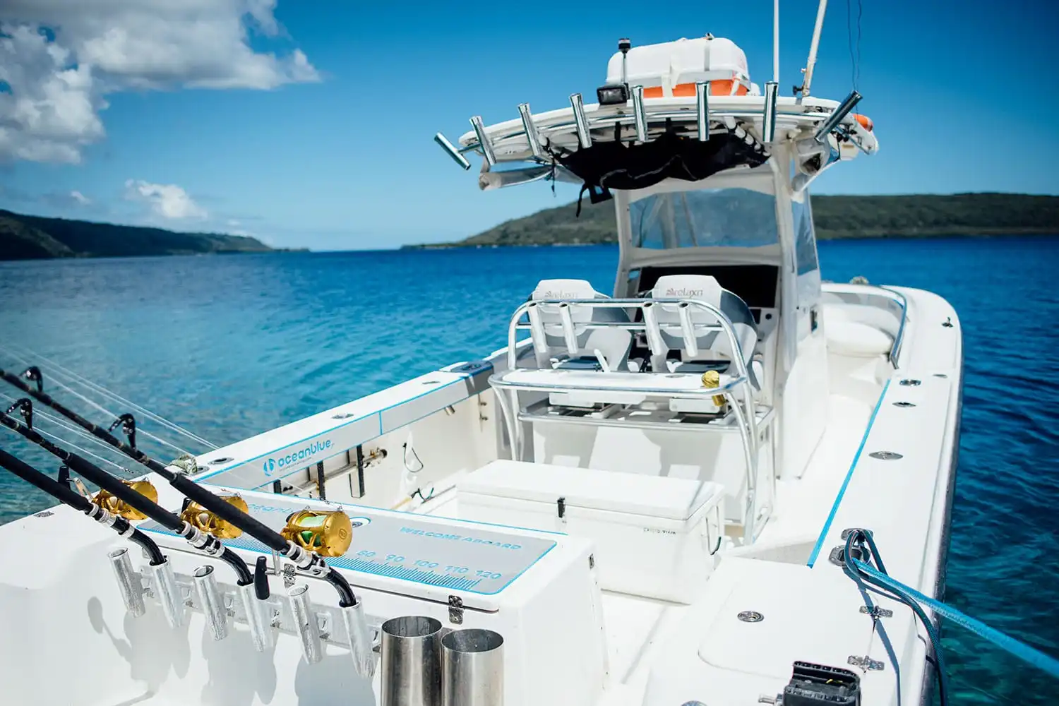 EdgeWater 32 Sport Fisher Cockpit at Trees and Fishes in Vanuatu