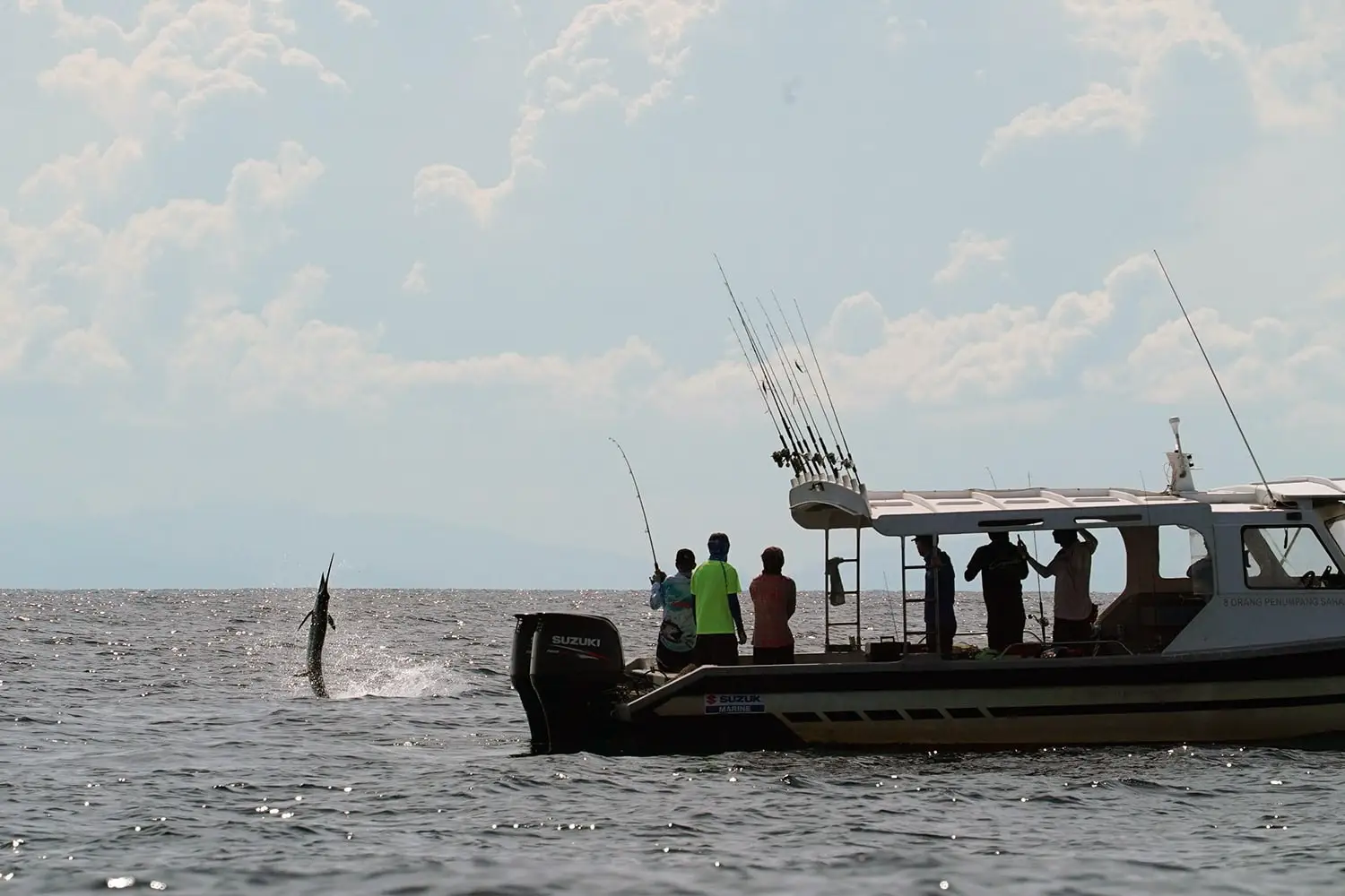 Fishing Malaysia Pangas Fighting Fish