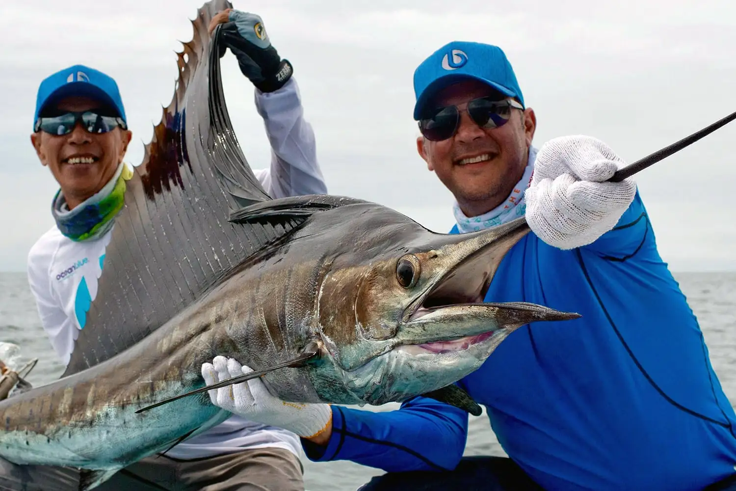 Fishing in Malaysia Sailfish Before Release