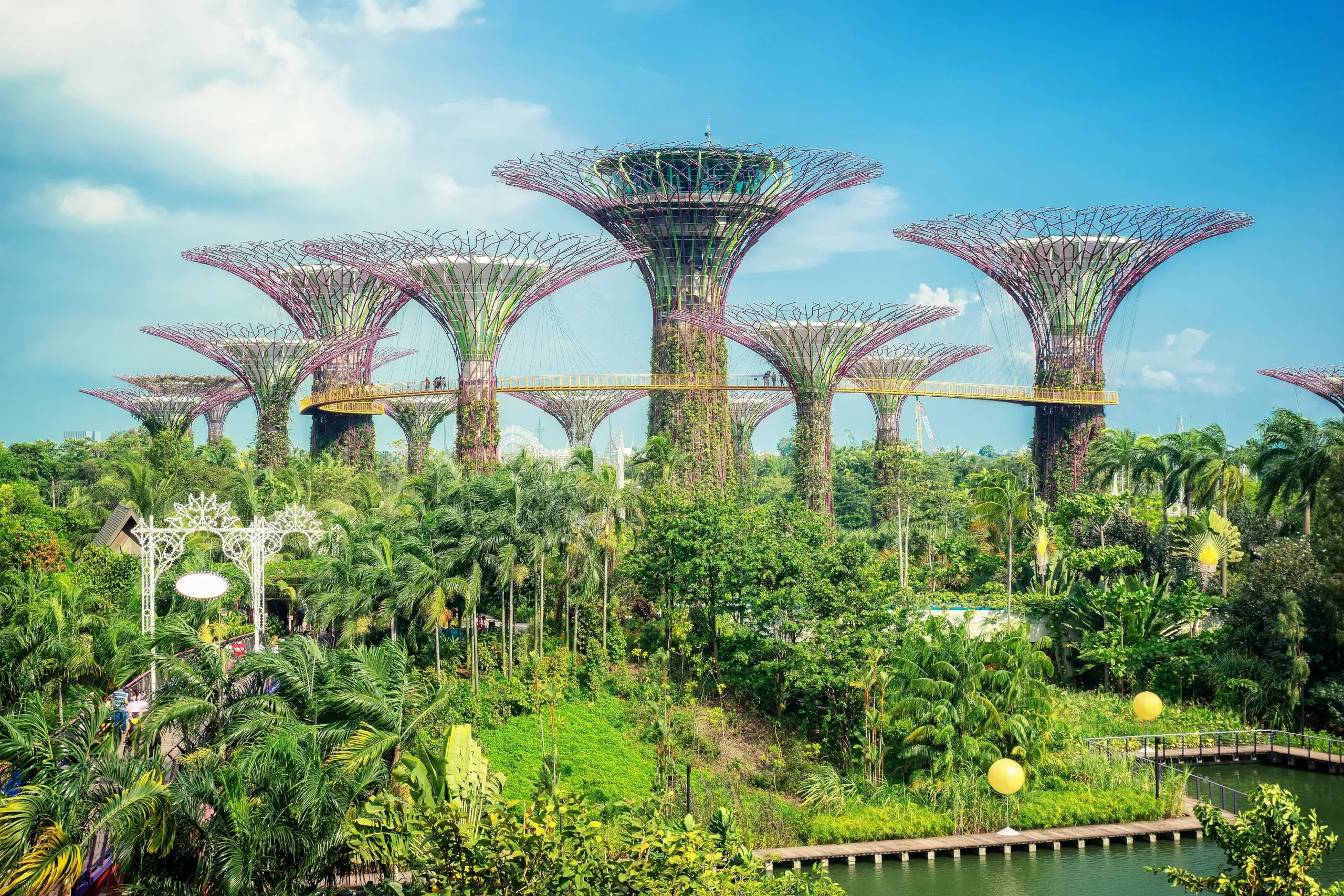 Enjoy the ecofriendly view at The Marina Bay Sands Gardens