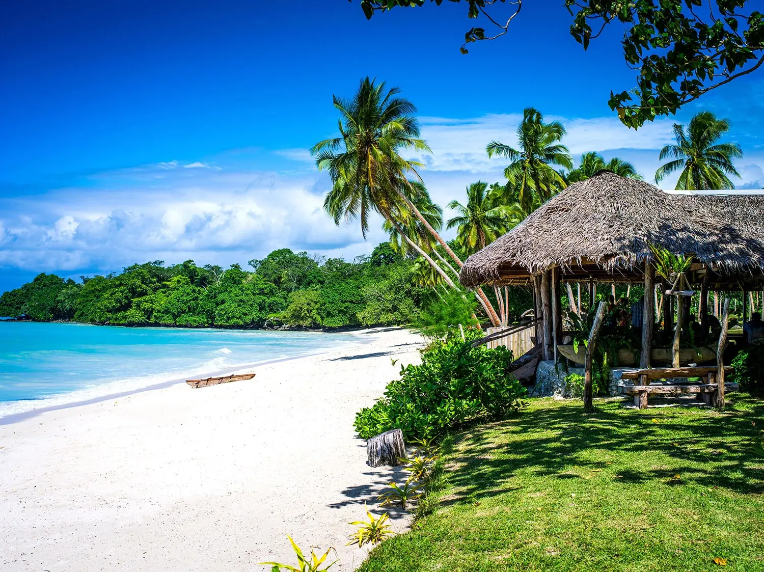 Vanuatu Private Beach Lunches