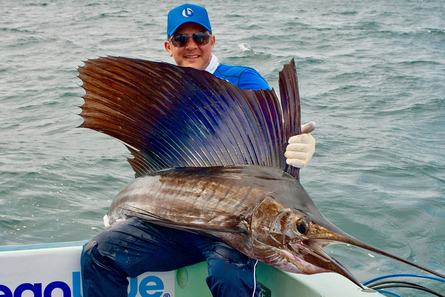 5 Night Rompin Sailfish Adventure - Nice Sail