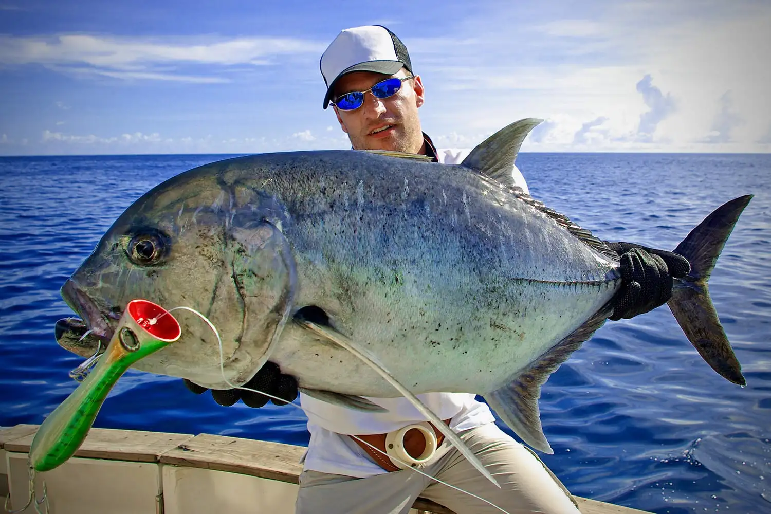 Nice Maldives Giant Trevally