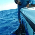 Nicholas O'Han - Vanuatu - Ocean Blue Fishing Adventures