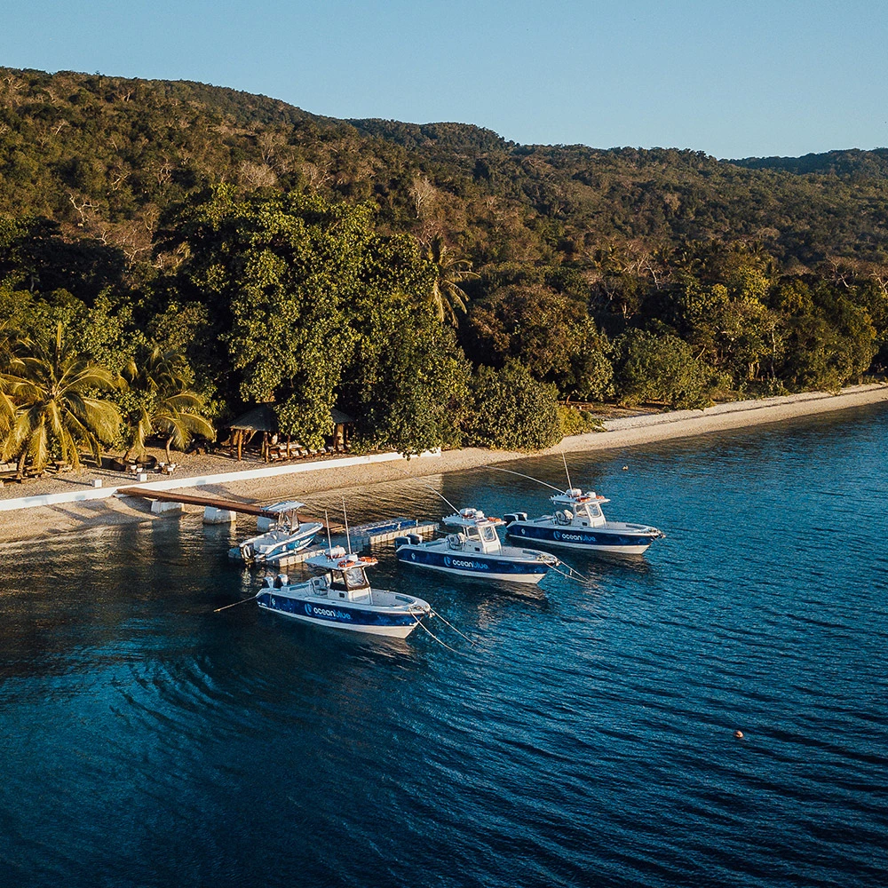 Vanuatu Fishing Lodge